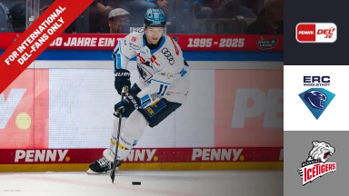 For international fans only - DEL: ERC Ingolstadt vs. Nürnberg Ice Tigers