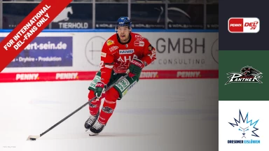 For international fans only - DEL: Augsburger Panther vs. Dresdner Eislöwen