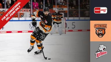 For international fans only - DEL: Grizzlys Wolfsburg vs. Nürnberg Ice Tigers