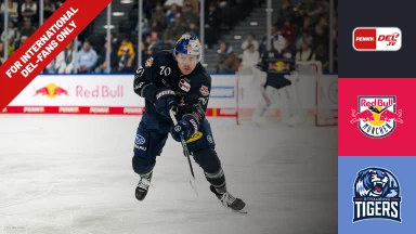 For international fans only - DEL: EHC Red Bull München vs. Straubing Tigers
