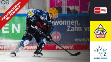 For international fans only - DEL: Pinguins Bremerhaven vs. Dresdner Eislöwen