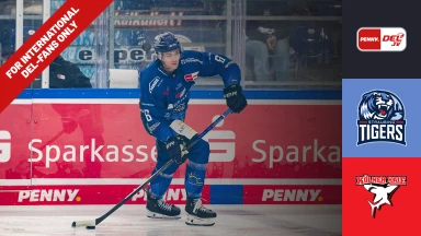 For international fans only - DEL: Straubing Tigers vs. Kölner Haie
