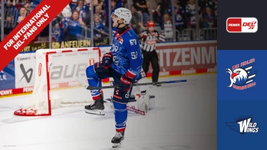 For international fans only - DEL: Adler Mannheim vs. Schwenninger Wild Wings