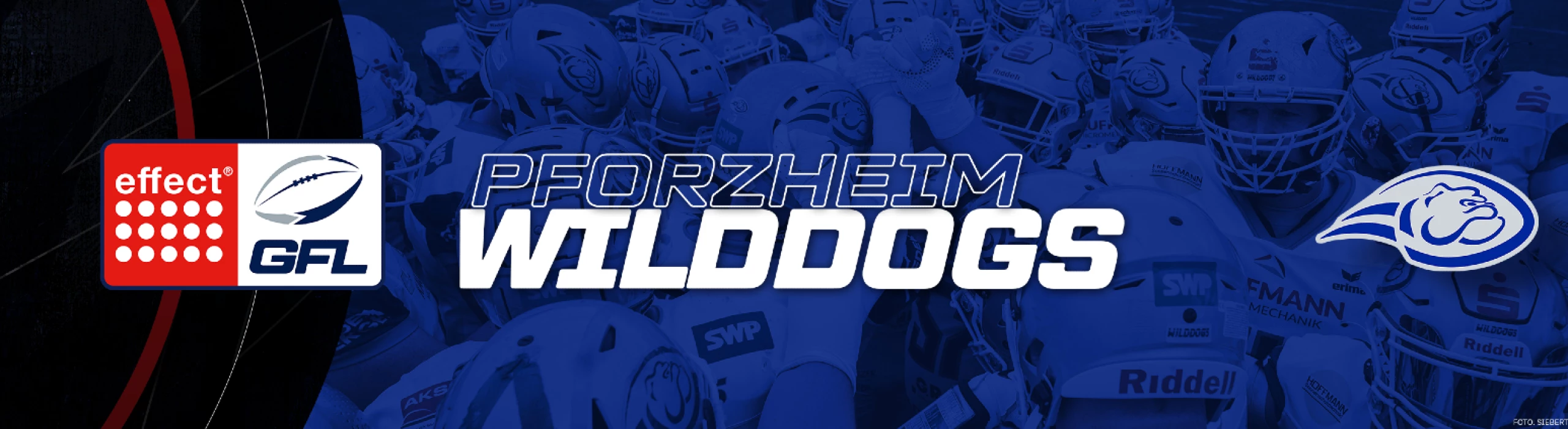 Pforzheim Wilddogs