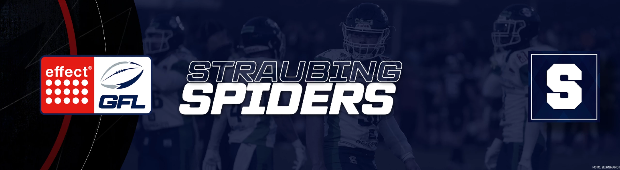 Straubing Spiders