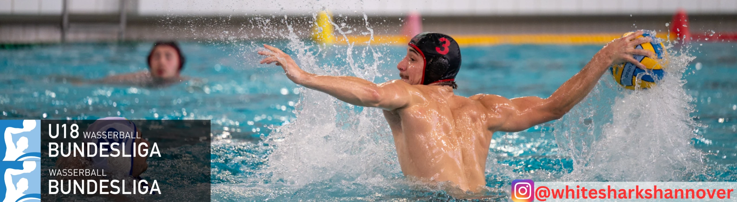 White Sharks Hannover