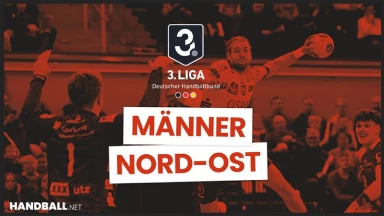 3. Liga: Staffel Nord-Ost - Füchse Berlin Reinickendorf II vs. SC DHfK Leipzig II