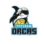 Potsdam Orcas