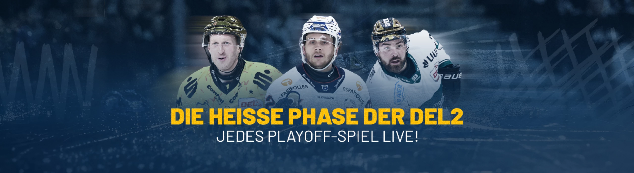 Deutsche Eishockey Liga 2