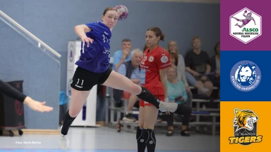 2. HBF: Bergischer HC vs. VfL Waiblingen