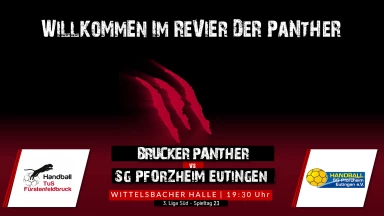 3. Liga: Staffel Süd - TuS Fürstenfeldbruck vs. SG Pforzheim-Eutingen