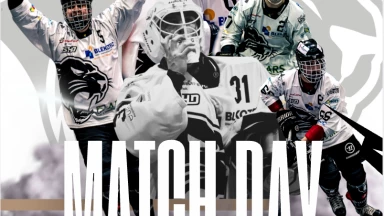 1. Bundesliga:  Augsburg vs Panther