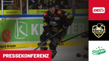DEL2: Krefeld Pinguine vs. Bietigheim Steelers | Pressekonferenz