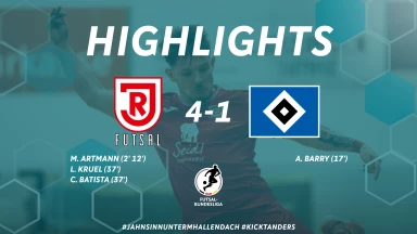 17. Spieltag: Jahn Regensburg vs. Hamburger SV | HIGHLIGHTS