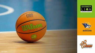 ProB Nord: Seawolves Academy vs. Hertener Löwen