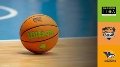 ProB Nord: Dragons Rhöndorf vs. Seawolves Academy