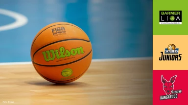 ProB Süd: SKYLINERS Juniors vs. BG Hessing Leitershofen