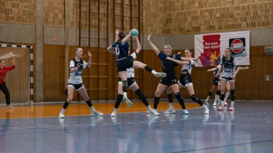 JBLH wB VfL Bad Schwartau - HC Leipzig