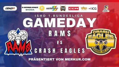 [1.BL] Düsseldorf RAMS 1 vs. Crash Eagles Kaarst 1 (Part 2)
