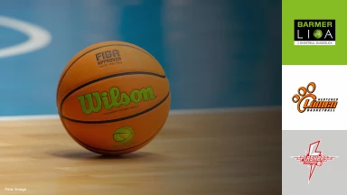 ProB Playoffs: Hertener Löwen vs. SV Fellbach Flashers - Spiel 2