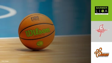 ProB Playoffs: SV Fellbach Flashers vs. Hertener Löwen - Spiel 3