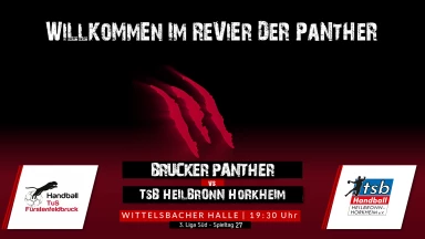 3. Liga: Staffel Süd - TuS Fürstenfeldbruck vs. TSB Heilbronn-Horkheim