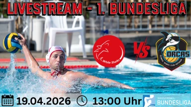 LIVE: Wasserball Bundesliga Playoffs | Sharks VS Orcas