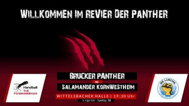 3. Liga: Staffel Süd - TuS Fürstenfeldbruck vs. SV Salamander Kornwestheim