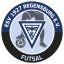 ESV 1927 Regensburg | Futsal