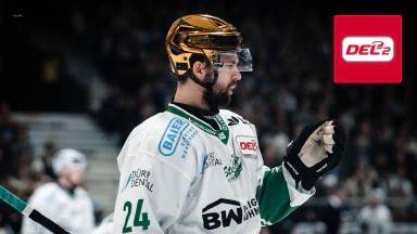 Bietigheim Steelers vs. EC Bad Nauheim