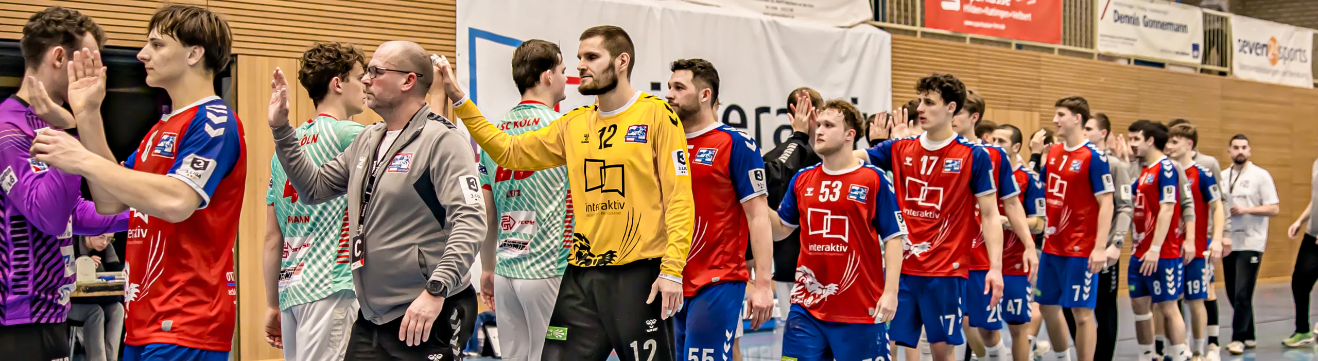 Interaktiv . Handball