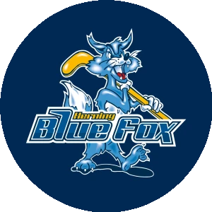 Herning Blue Foxes