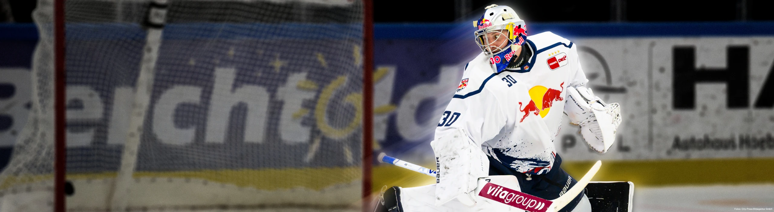 Deutsche Eishockey Liga